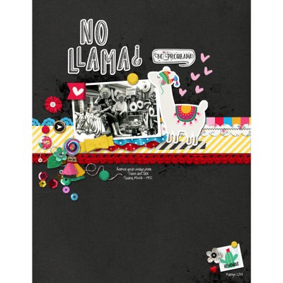 No Probllama