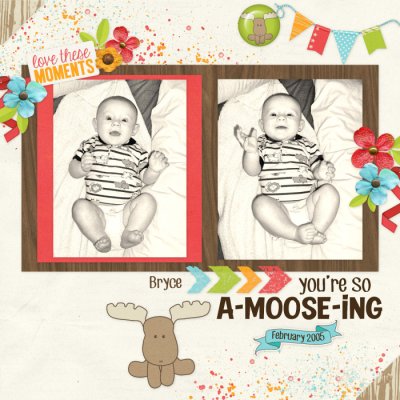 Moose