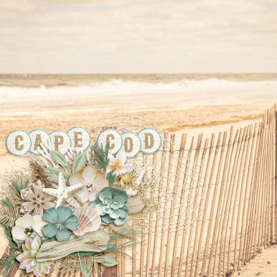 Cape Cod