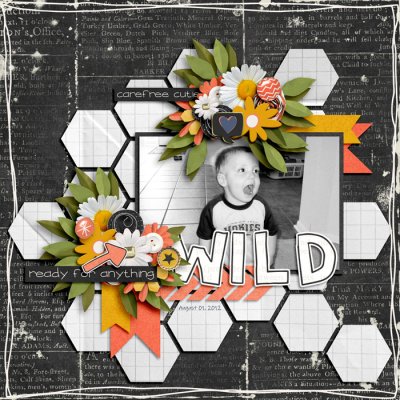 Wild