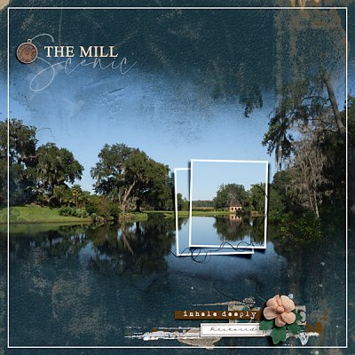The Mill