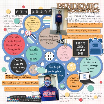 Pandemic Academics