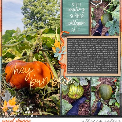 2022 pumpkins left