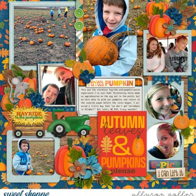 Perfect Pumpkin