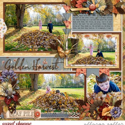 Golden Harvest Right