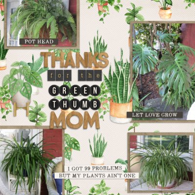Thanks for the Green Thumb, Mom