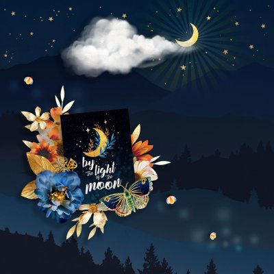 by the light of the moon