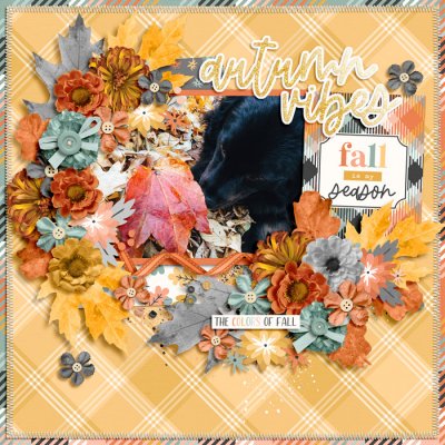 Fall is my season
