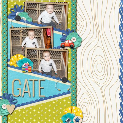 2018-01-24-gate_edited-1