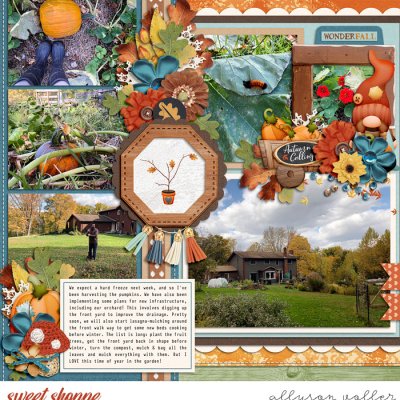 Autumn Garden right