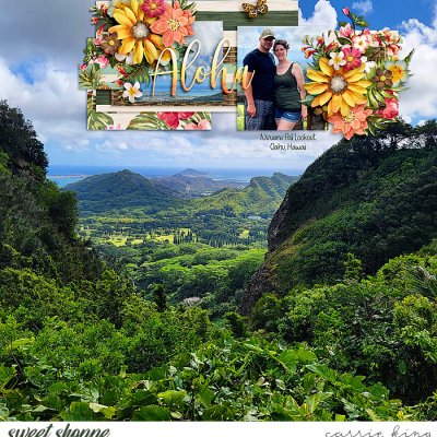 Nu'Uanu Pali Lookout