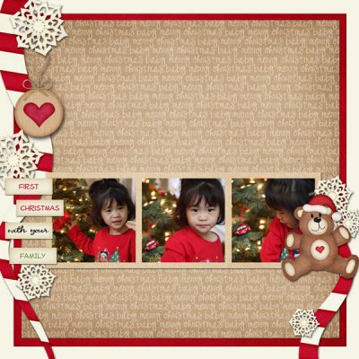 First Christmas with Your Family