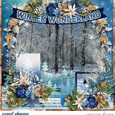 Winter Wonderland