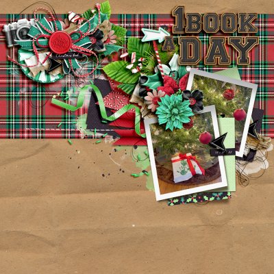 1 book a day