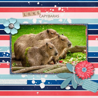 LOVE CAPYBARAS