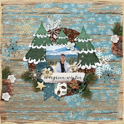 Evergreen Winter