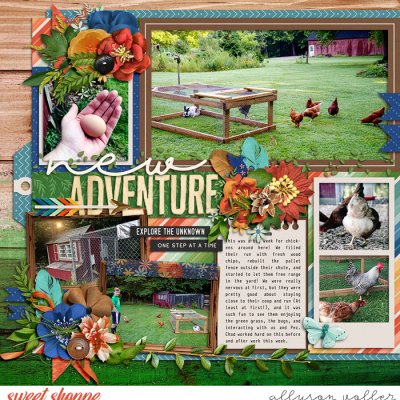 Free Ranging left