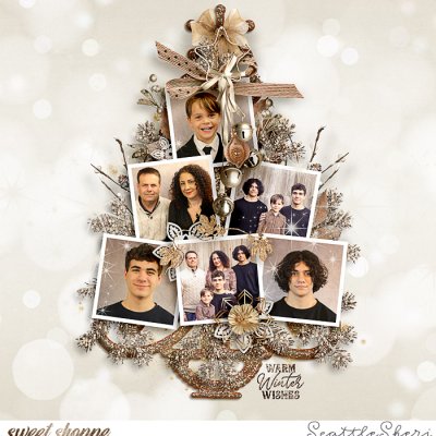 Warm Winter Wishes