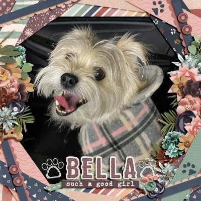 Bella