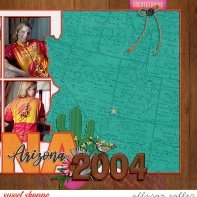 Arizona 2004 right