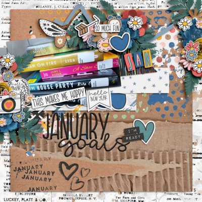 January Goals 23