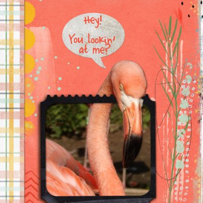 Hey!