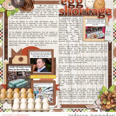 2023 Egg Shortage