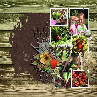 Veggie Garden