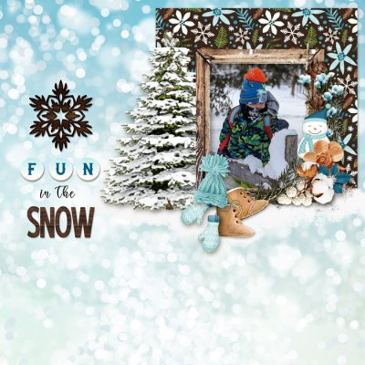 fun in the snow