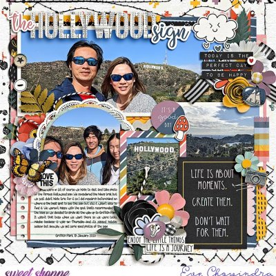 the hollywood sign