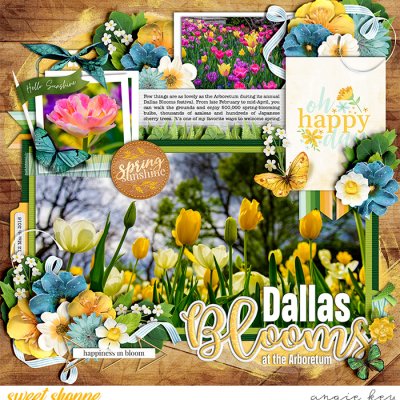 Dallas Blooms