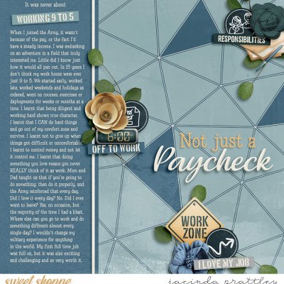 Not just a paycheck