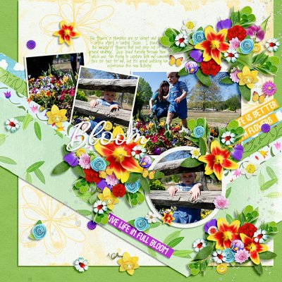 Blooming Flowers