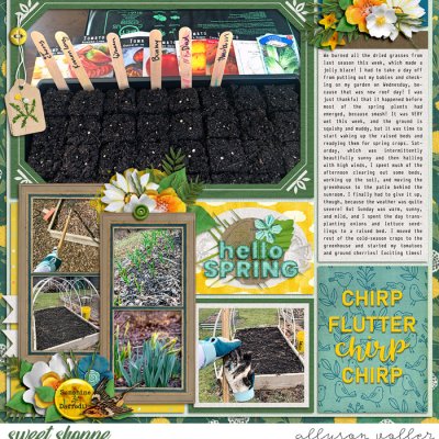 March Garden 2023 right