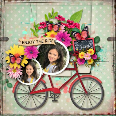 Enjoy The Ride