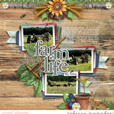 farm life