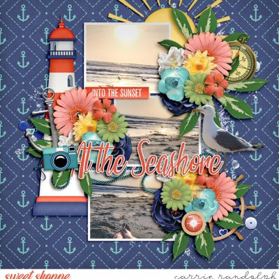 The Seashore