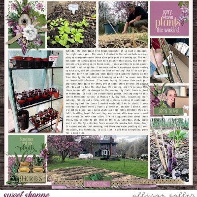 2023 Garden notes week 16 right