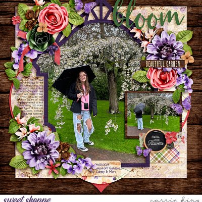 Bloom
