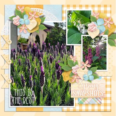 Spring blooms