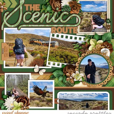 The scenic route
