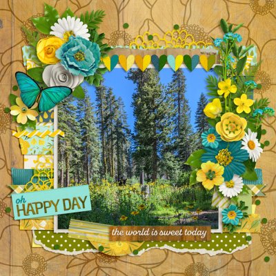 happy day