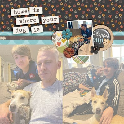 Home is Where My Dog Is