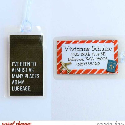 Humorous Luggage Tag