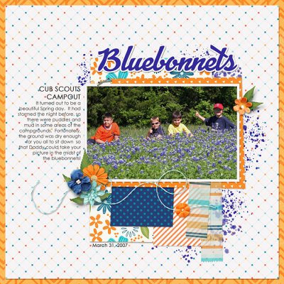 Bluebonnets