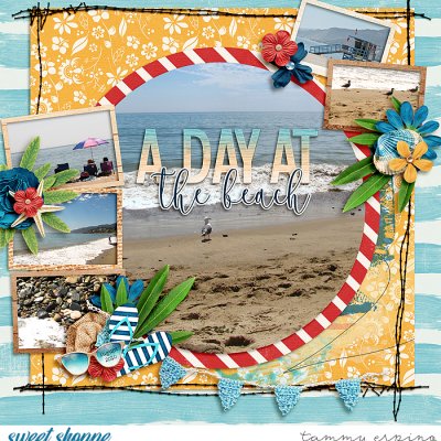 a day at the beach