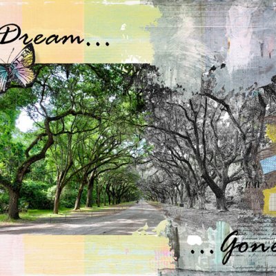 Dream...