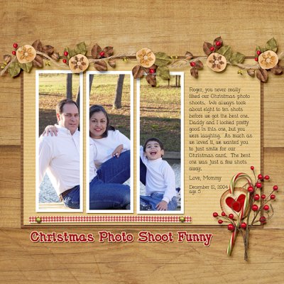 Christmas Photo Shoot Funny
