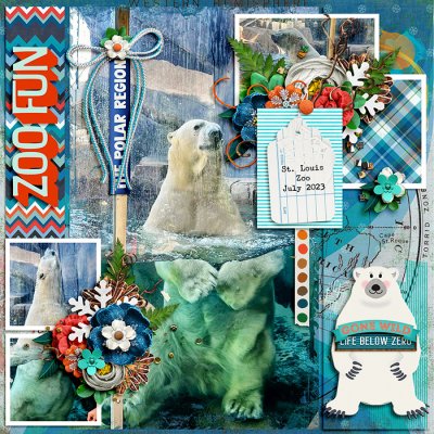 Polar Region