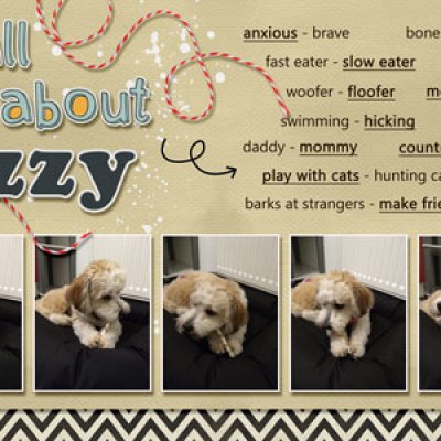 all about izzy